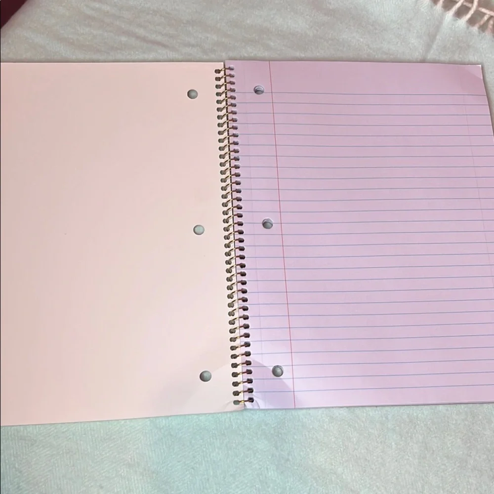 NWT 🐱😻 Cat Spiral Notebook- Back To School